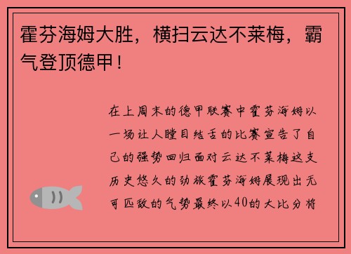 霍芬海姆大胜，横扫云达不莱梅，霸气登顶德甲！